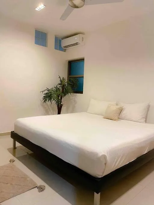 Apartment In The Best Area Of ​​Playa Del Carmen