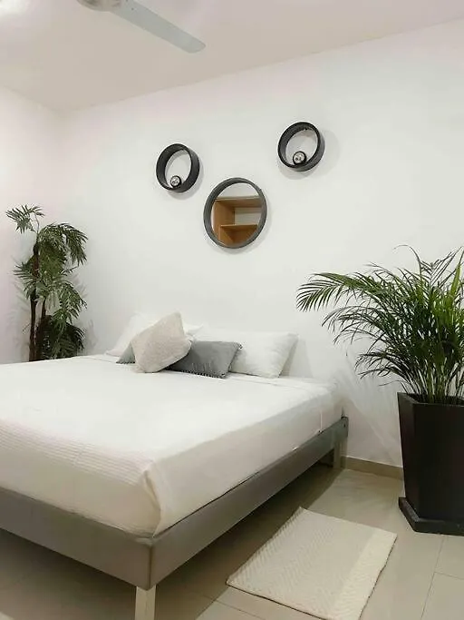 Apartment In The Best Area Of ​​Playa Del Carmen Mexico